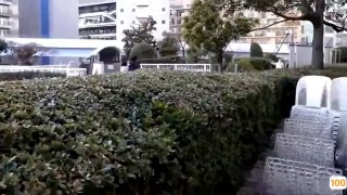 三级.性免费视频